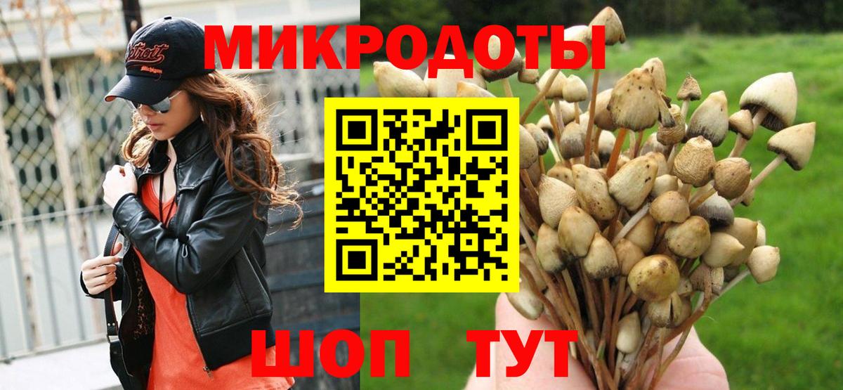 где можно купить   Галлюциногенные грибы GOLDEN TEACHER  Вход с VPN  Холмск  Псилоцибиновые грибы Magic Shrooms 